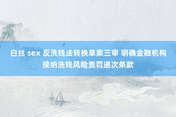 白丝 sex 反洗钱法转换草案三审 明确金融机构接纳洗钱风险责罚递次条款