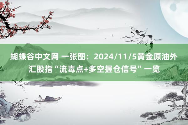 蝴蝶谷中文网 一张图：2024/11/5黄金原油外汇股指“流毒点+多空握仓信号”一览