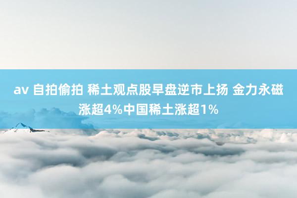 av 自拍偷拍 稀土观点股早盘逆市上扬 金力永磁涨超4%中国稀土涨超1%