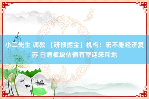 小二先生 调教 【研报掘金】机构：宏不雅经济复苏 白酒板块估值有望迎来斥地