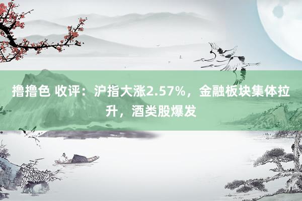 撸撸色 收评：沪指大涨2.57%，金融板块集体拉升，酒类股爆发