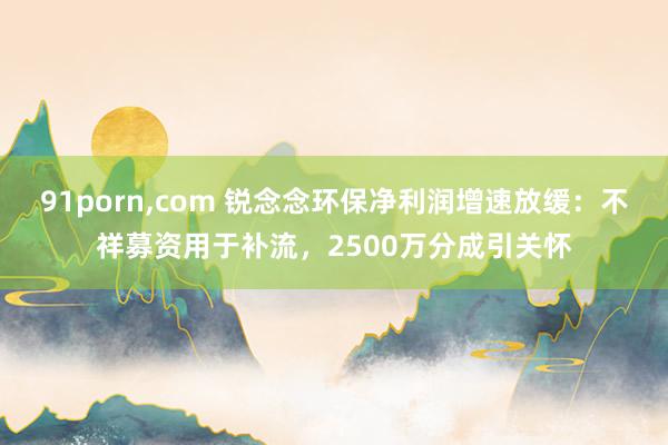 91porn，com 锐念念环保净利润增速放缓：不祥募资用于补流，2500万分成引关怀