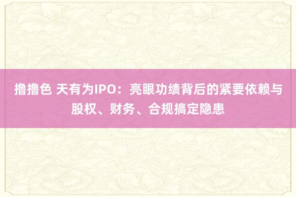 撸撸色 天有为IPO：亮眼功绩背后的紧要依赖与股权、财务、合规搞定隐患