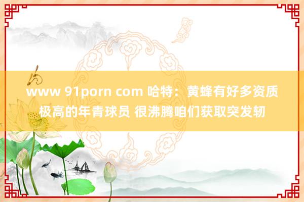 www 91porn com 哈特：黄蜂有好多资质极高的年青球员 很沸腾咱们获取突发轫