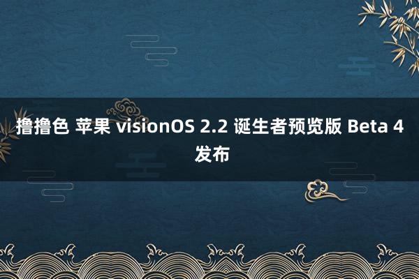 撸撸色 苹果 visionOS 2.2 诞生者预览版 Beta 4 发布