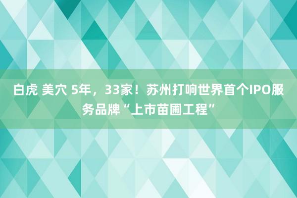 白虎 美穴 5年，33家！苏州打响世界首个IPO服务品牌“上市苗圃工程”