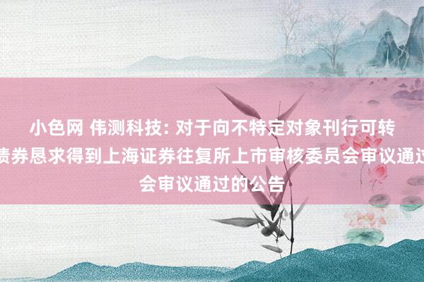 小色网 伟测科技: 对于向不特定对象刊行可转换公司债券恳求得到上海证券往复所上市审核委员会审议通过的公告