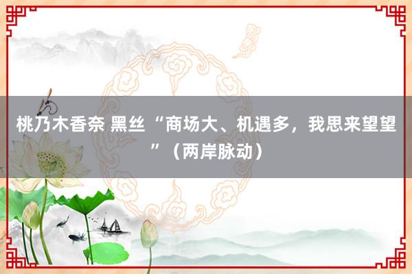 桃乃木香奈 黑丝 “商场大、机遇多，我思来望望”（两岸脉动）