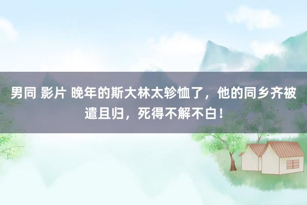 男同 影片 晚年的斯大林太轸恤了，他的同乡齐被遣且归，死得不解不白！