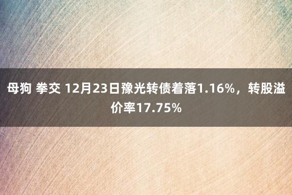 母狗 拳交 12月23日豫光转债着落1.16%，转股溢价率17.75%