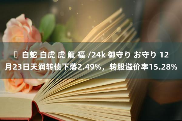 ✨白蛇 白虎 虎 龍 福 /24k 御守り お守り 12月23日天润转债下落2.49%，转股溢价率15.28%