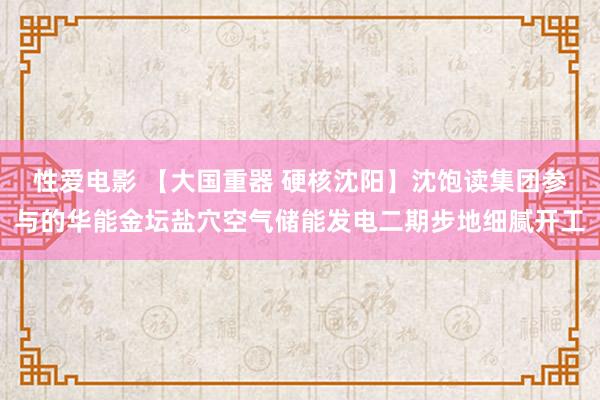 性爱电影 【大国重器 硬核沈阳】沈饱读集团参与的华能金坛盐穴空气储能发电二期步地细腻开工