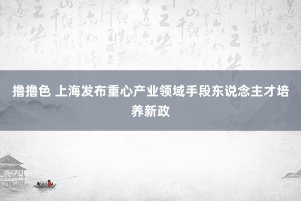 撸撸色 上海发布重心产业领域手段东说念主才培养新政