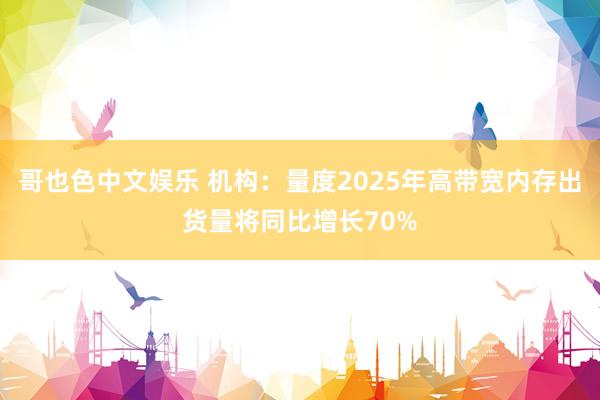 哥也色中文娱乐 机构：量度2025年高带宽内存出货量将同比增长70%