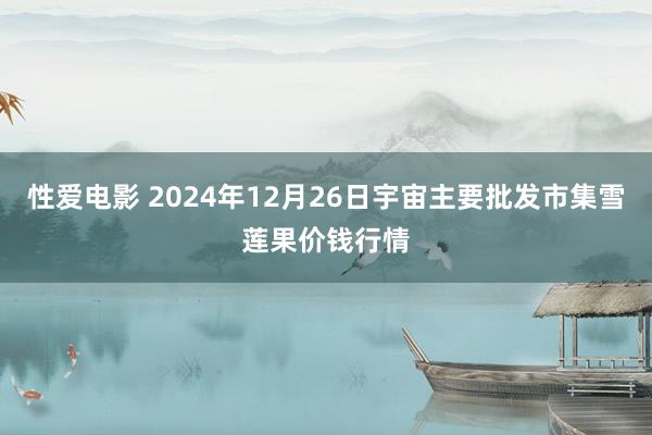 性爱电影 2024年12月26日宇宙主要批发市集雪莲果价钱行情