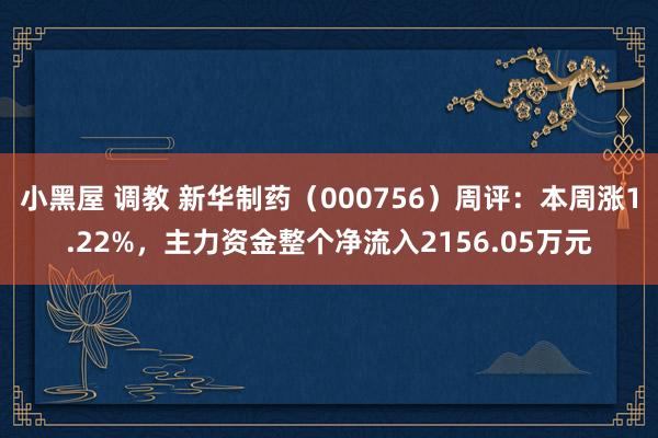 小黑屋 调教 新华制药（000756）周评：本周涨1.22%，主力资金整个净流入2156.05万元