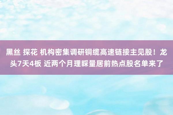 黑丝 探花 机构密集调研铜缆高速链接主见股！龙头7天4板 近两个月理睬量居前热点股名单来了