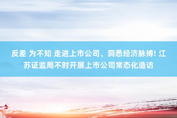 反差 为不知 走进上市公司、洞悉经济脉搏! 江苏证监局不时开展上市公司常态化造访