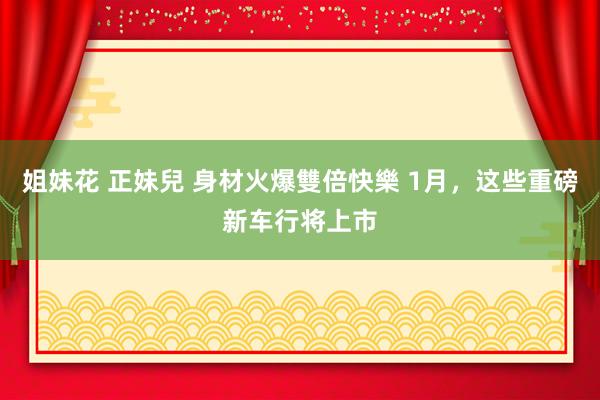 姐妹花 正妹兒 身材火爆雙倍快樂 1月，这些重磅新车行将上市