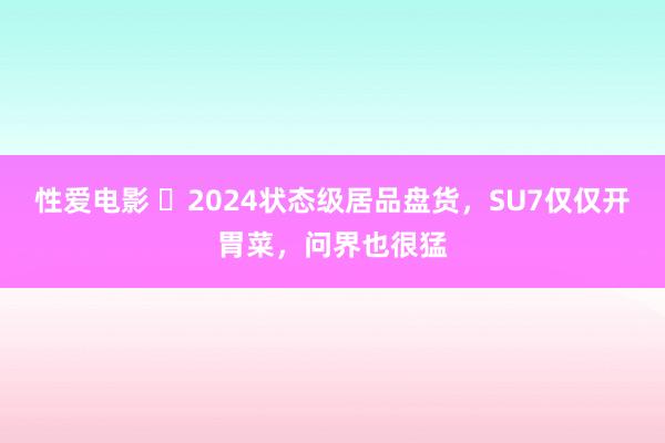 性爱电影 ​2024状态级居品盘货，SU7仅仅开胃菜，问界也很猛