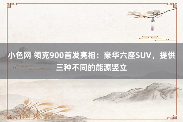 小色网 领克900首发亮相：豪华六座SUV，提供三种不同的能源竖立