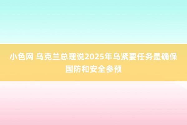 小色网 乌克兰总理说2025年乌紧要任务是确保国防和安全参预