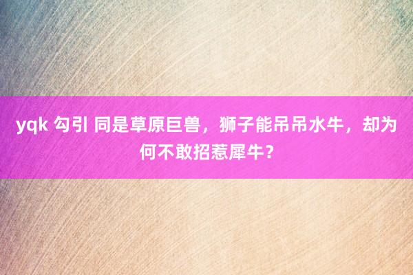 yqk 勾引 同是草原巨兽，狮子能吊吊水牛，却为何不敢招惹犀牛？