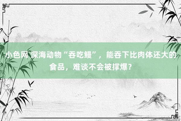 小色网 深海动物“吞吃鳗”，能吞下比肉体还大的食品，难谈不会被撑爆？