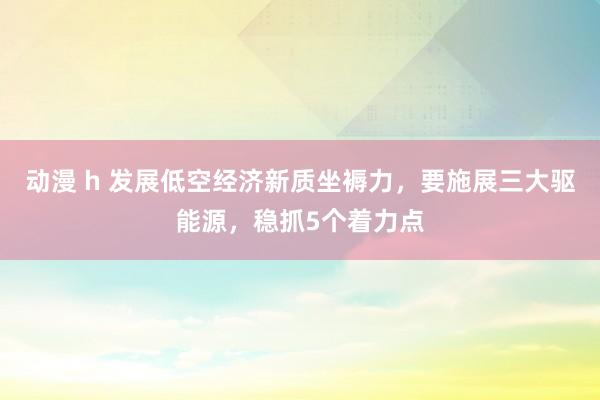 动漫 h 发展低空经济新质坐褥力，要施展三大驱能源，稳抓5个着力点