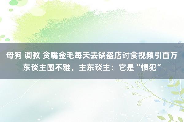 母狗 调教 贪嘴金毛每天去锅盔店讨食视频引百万东谈主围不雅，主东谈主：它是“惯犯”