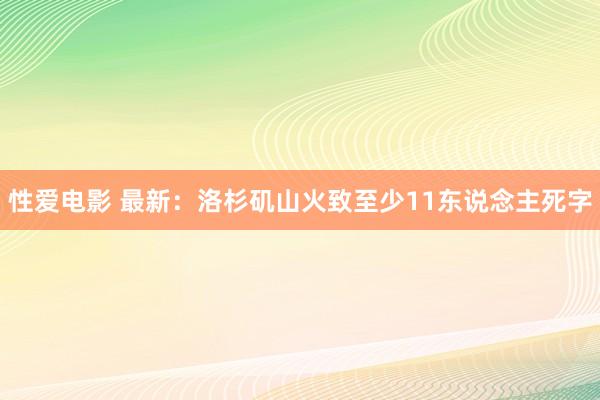 性爱电影 最新：洛杉矶山火致至少11东说念主死字