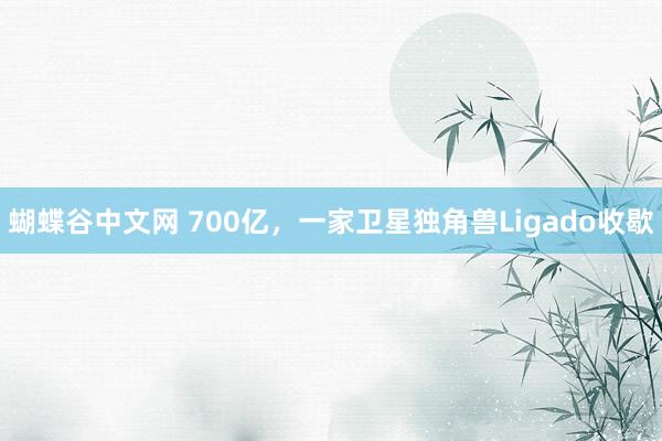 蝴蝶谷中文网 700亿，一家卫星独角兽Ligado收歇