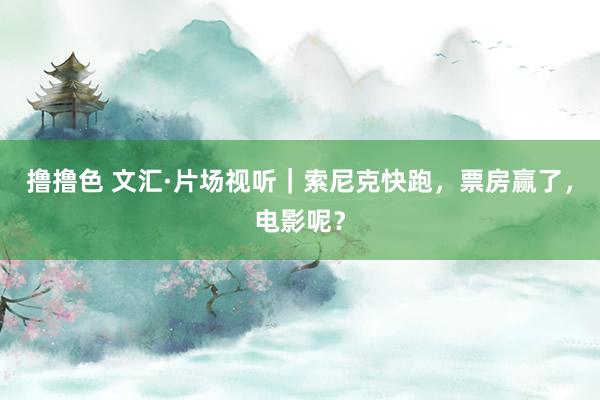 撸撸色 文汇·片场视听｜索尼克快跑，票房赢了，电影呢？