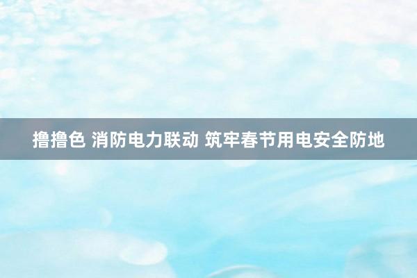 撸撸色 消防电力联动 筑牢春节用电安全防地