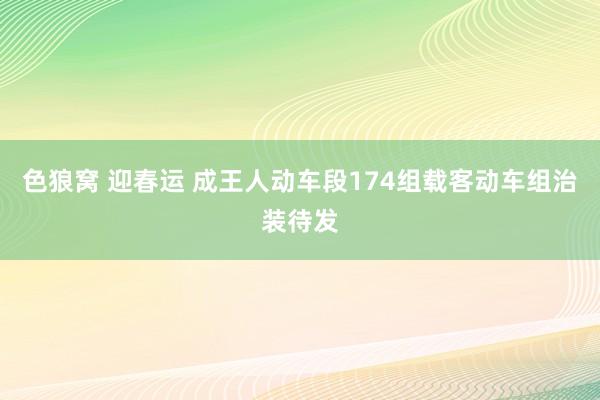 色狼窝 迎春运 成王人动车段174组载客动车组治装待发