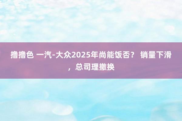 撸撸色 一汽-大众2025年尚能饭否？ 销量下滑，总司理撤换