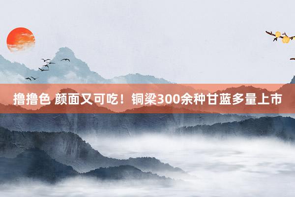 撸撸色 颜面又可吃！铜梁300余种甘蓝多量上市