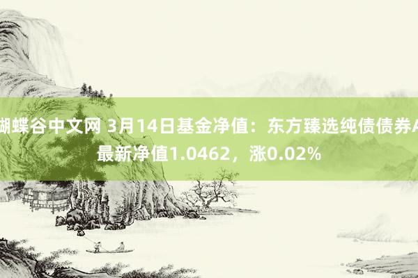 蝴蝶谷中文网 3月14日基金净值：东方臻选纯债债券A最新净值1.0462，涨0.02%